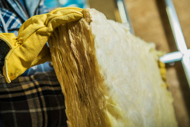 Best Attic Insulation Installation  in New Carlisle, IN