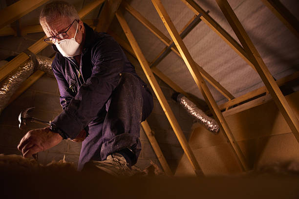 Best Spray Foam Insulation  in New Carlisle, IN