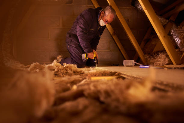 Best Attic Insulation Installation  in New Carlisle, IN