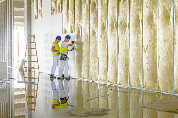 Best Insulation Inspection Services  in New Carlisle, IN